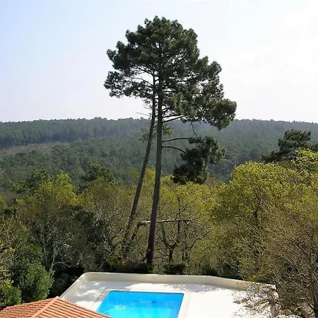 House Sur Mer - A 5m0 D'arcachon - D'architecte Avec Piscine En Lisiere De Foret Et A 600m De La Plage